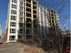 企业2600万元竞得法拍土地使用权和在建房产，被查封五年无法“过户”｜红星